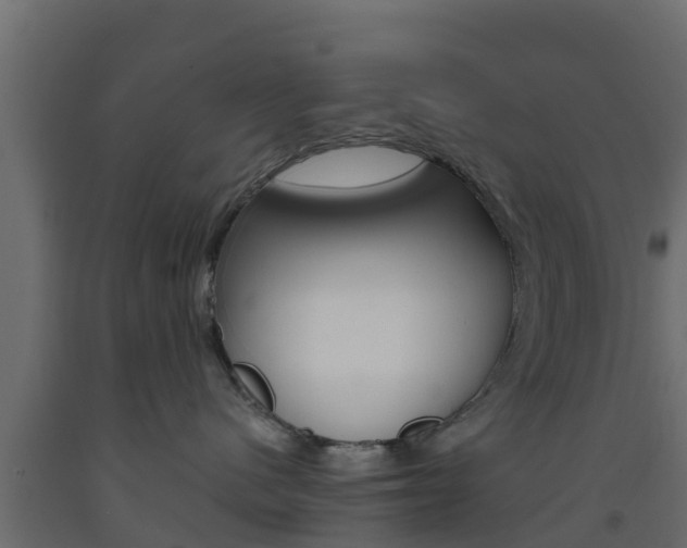 X0000093570480200710151020