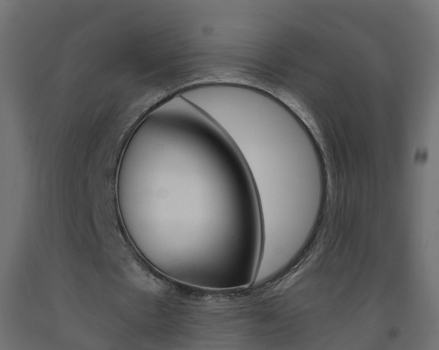 X0000093570481200710151020