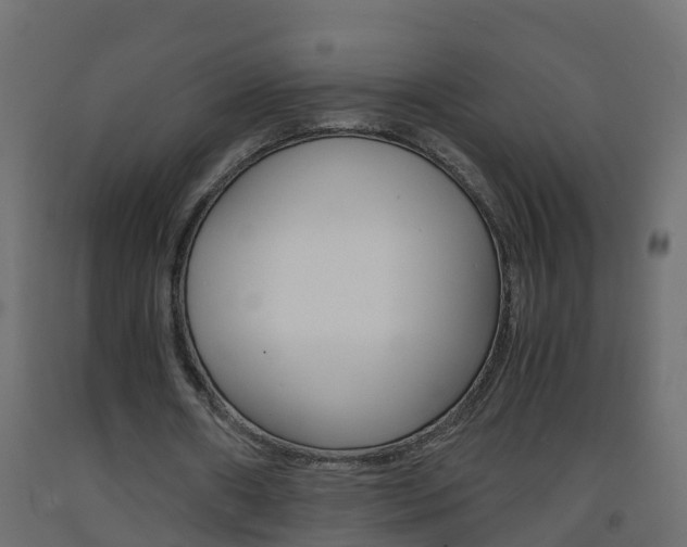 X0000093570482200710151020