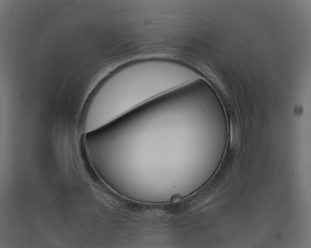 X0000093570483200710151020