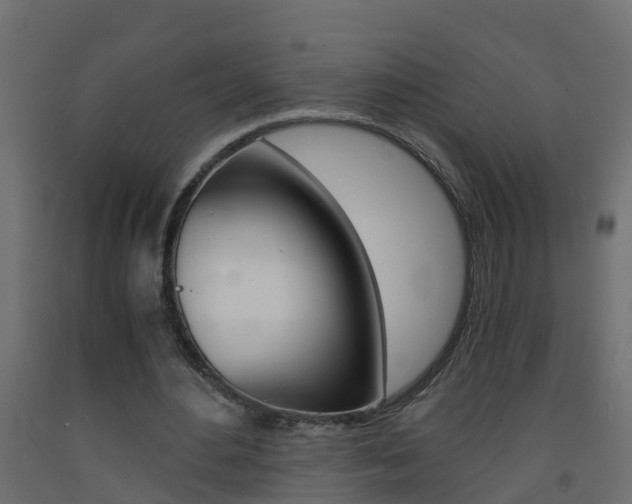 X0000093570484200710151020