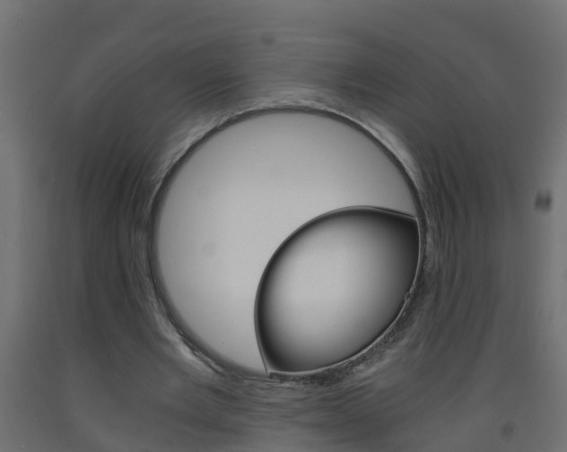 X0000093570485200710151020