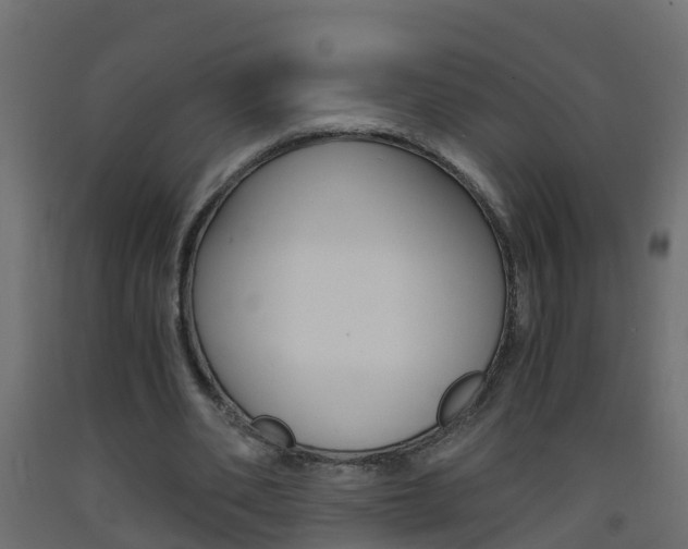 X0000093570486200710151020