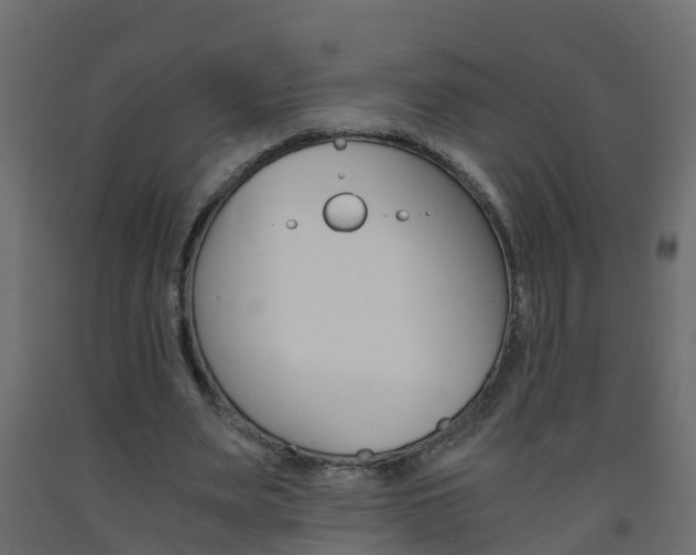 X0000093570487200710151020
