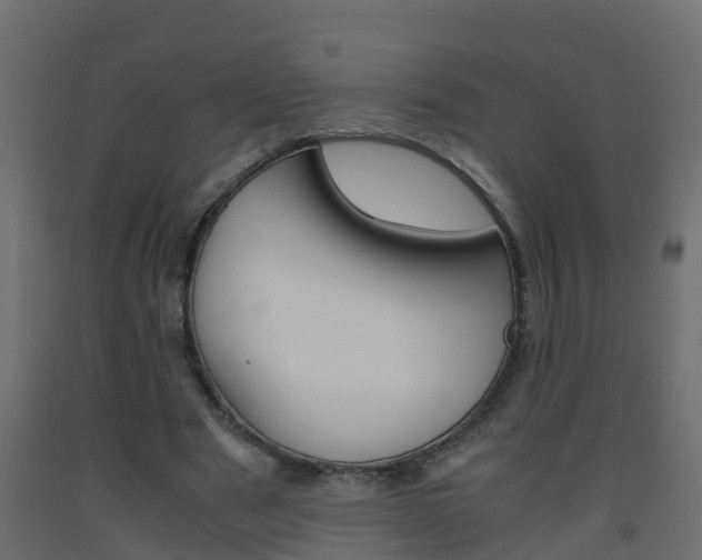 X0000093570489200710151020