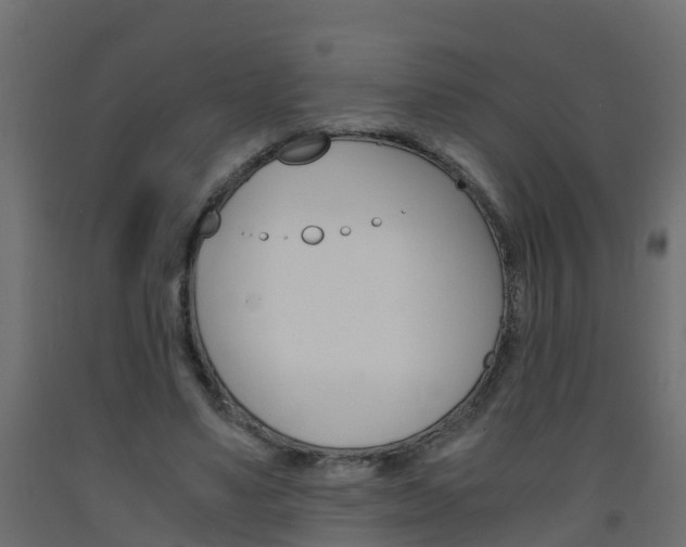 X0000093570491200710151019