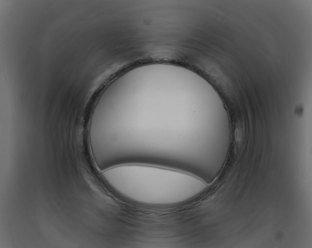 X0000093570492200710151019