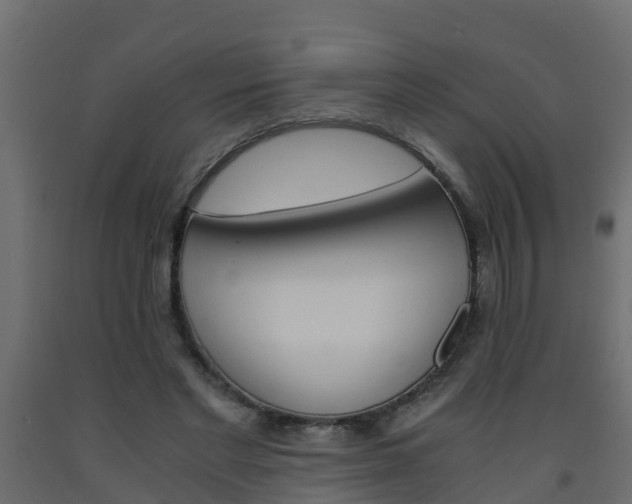 X0000093570493200710151019