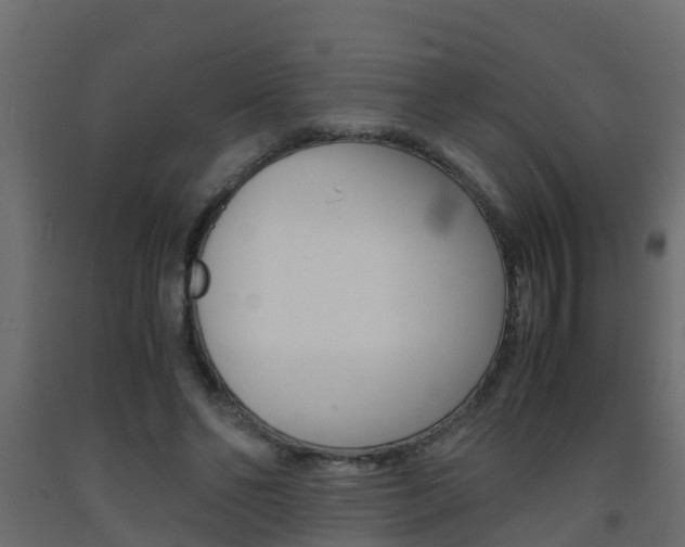 X0000093570494200710151019