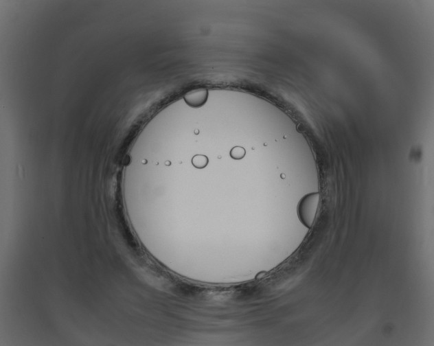 X0000093570495200710151019