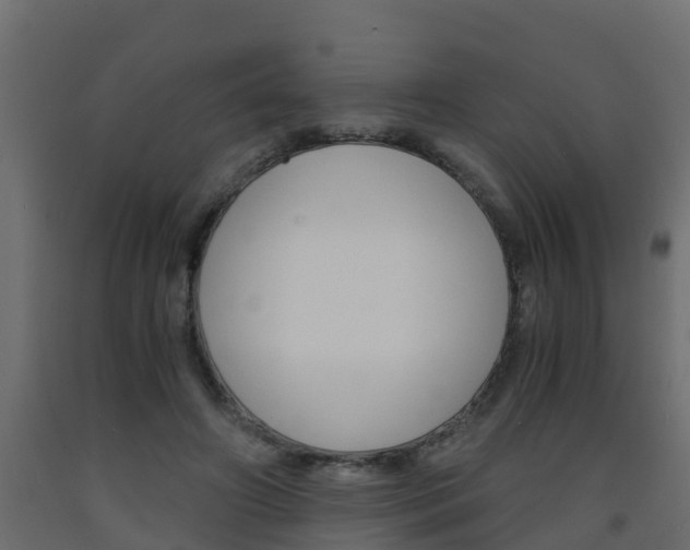 X0000093570498200710151019