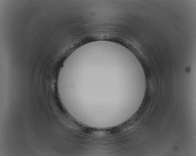 X0000093570499200710151019
