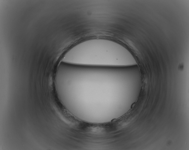 X0000093570500200710151019