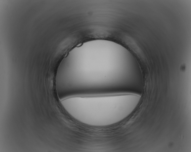 X0000093570501200710151019