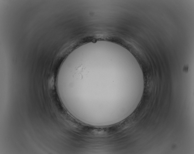 X0000093570502200710151019