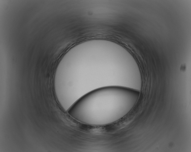 X0000093570505200710151019
