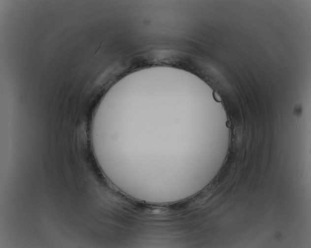X0000093570506200710151019