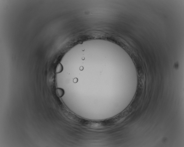 X0000093570507200710151019