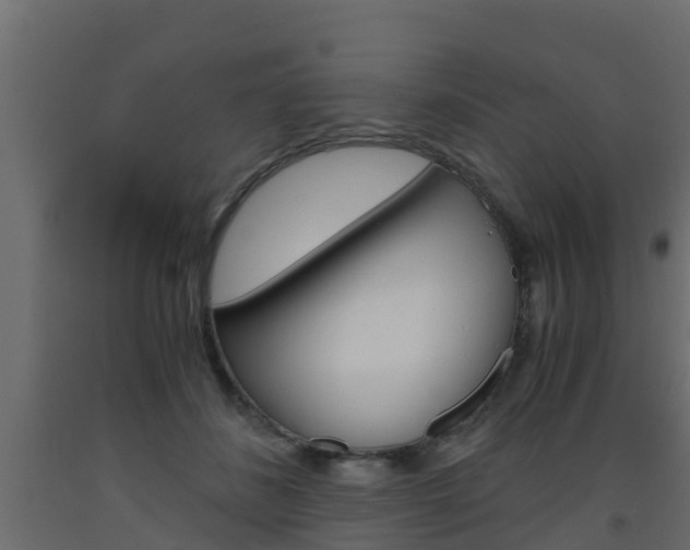 X0000093570508200710151019