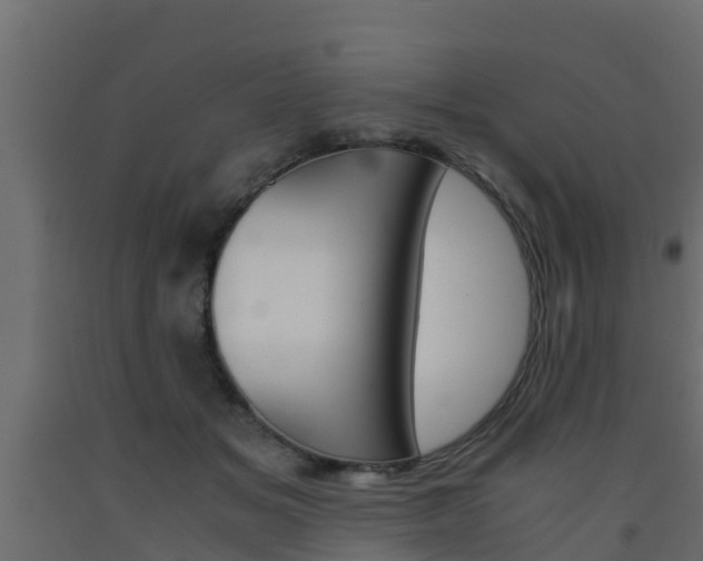 X0000093570509200710151019