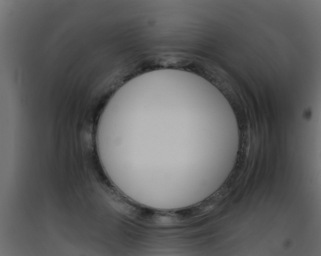 X0000093570510200710151019