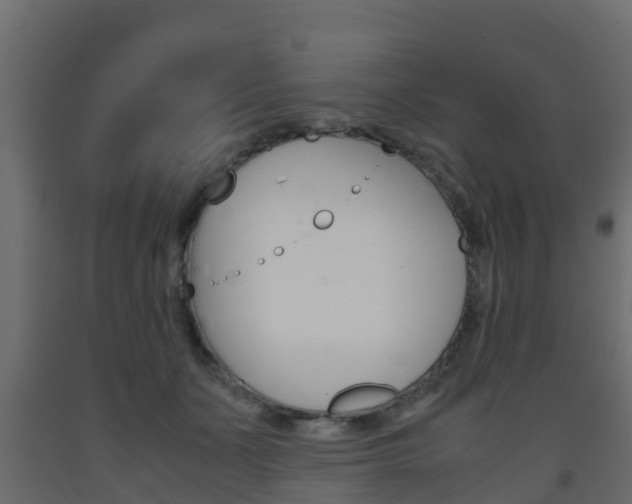 X0000093570511200710151019