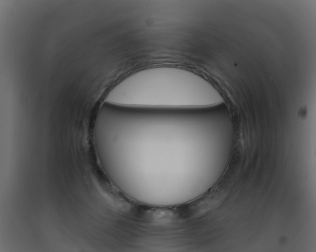 X0000093570512200710151019