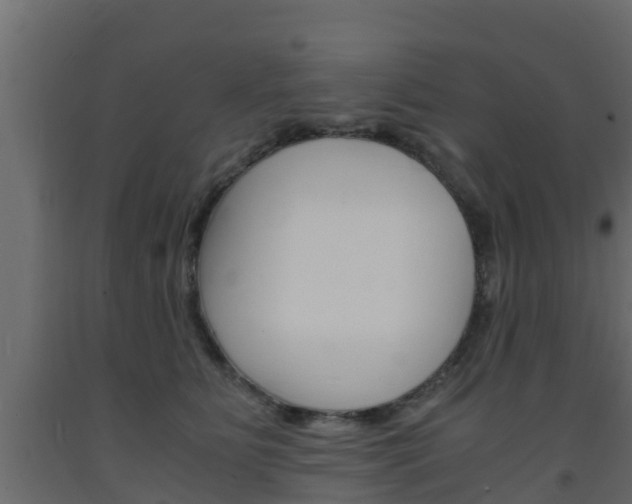 X0000093570515200710151019