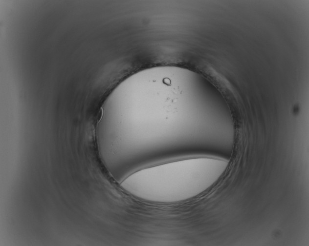 X0000093570517200710151019