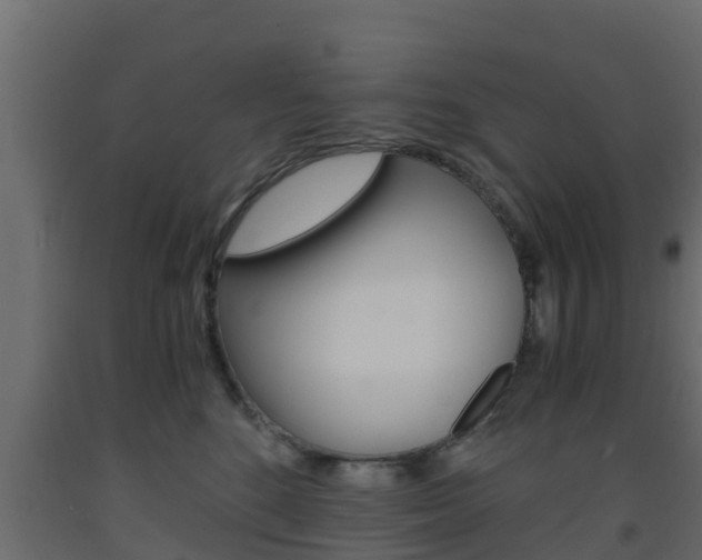X0000093570520200710151019