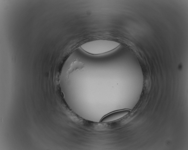 X0000093570525200710151019