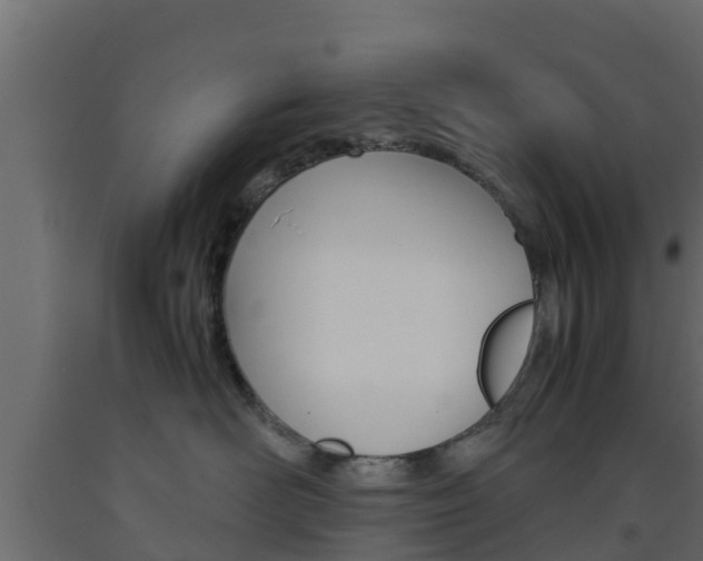 X0000093570526200710151019