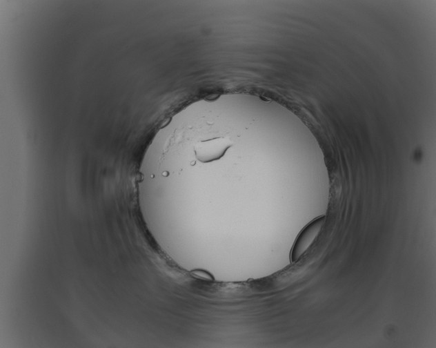 X0000093570527200710151019