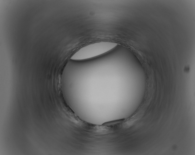 X0000093570528200710151019