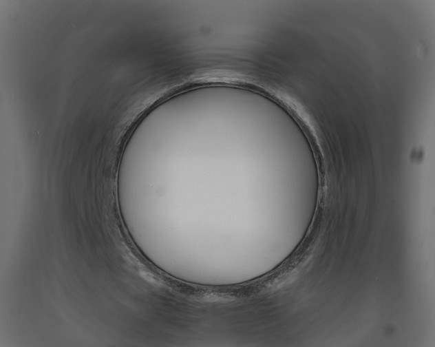 X0000093570529200710151018