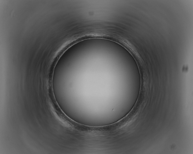 X0000093570530200710151018
