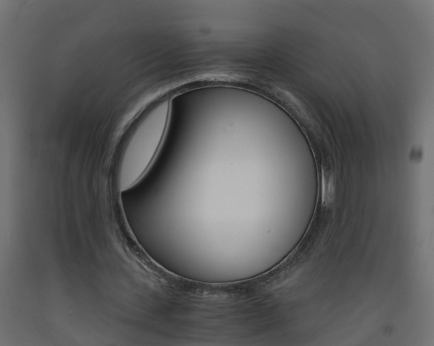 X0000093570531200710151018