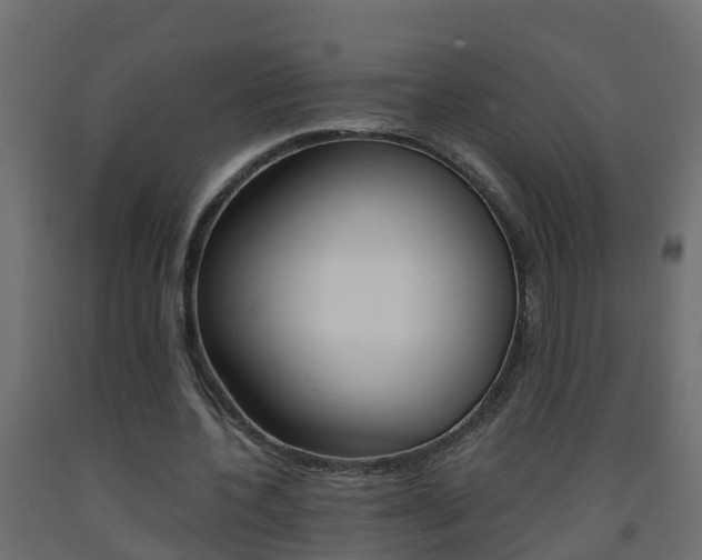 X0000093570532200710151018