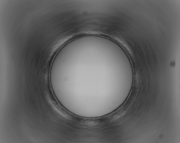 X0000093570533200710151018