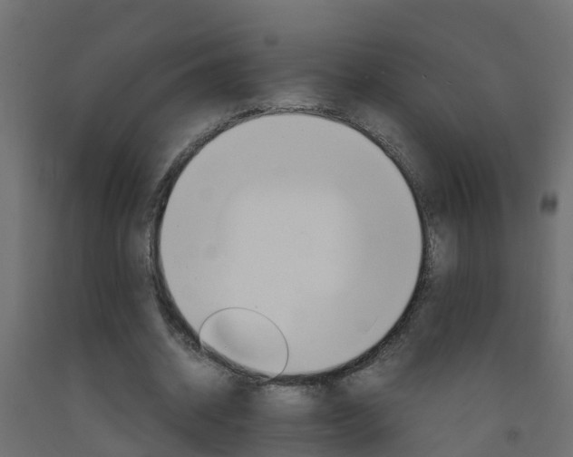 X0000093570534200710151018