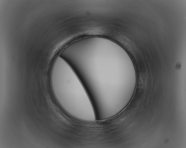 X0000093570535200710151018
