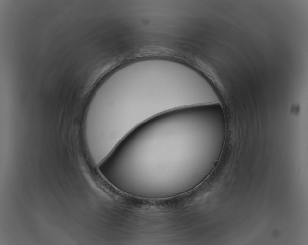 X0000093570538200710151018