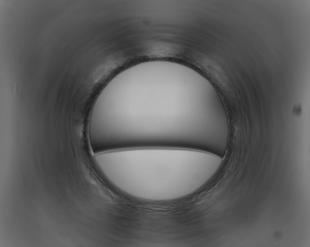 X0000093570539200710151018