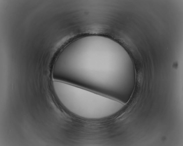 X0000093570540200710151018