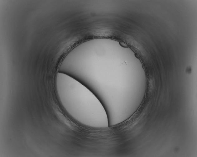 X0000093570541200710151018