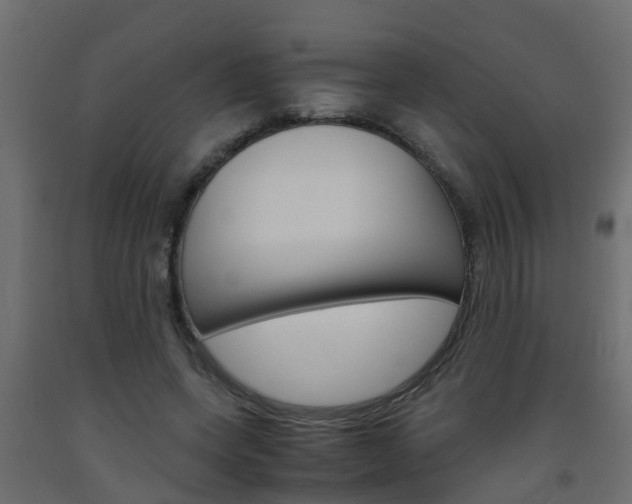 X0000093570543200710151018