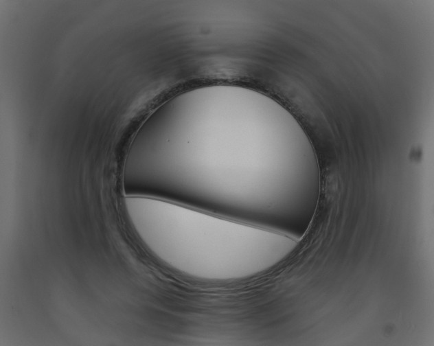 X0000093570544200710151018