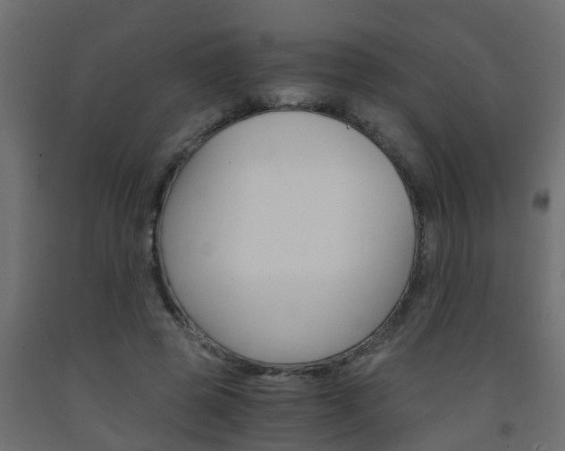 X0000093570545200710151018