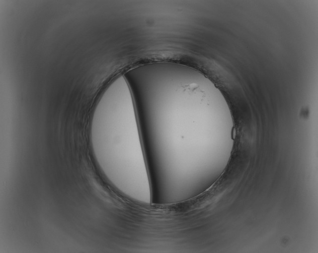 X0000093570546200710151018