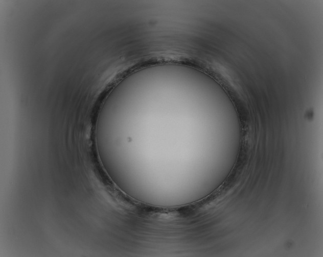 X0000093570548200710151018